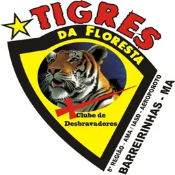 TIGRES DA FLORESTA