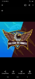 FALCÃO DO NORTE