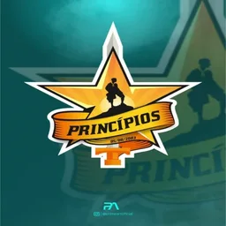 PRINCÍPIOS