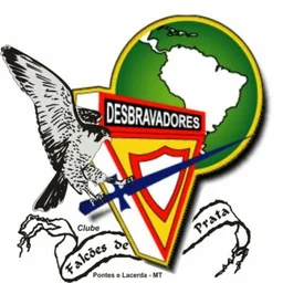 FALCÕES DE PRATA