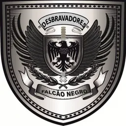 FALCÃO NEGRO