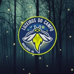 LUZEIROS DO CAMPO