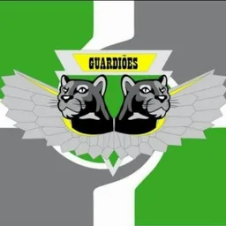 GUARDIÕES DO VALE