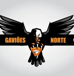 GAVIÕES DO NORTE