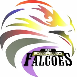 FALCÕES