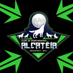 ALCATEIA