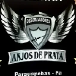 ANJOS DE PRATA