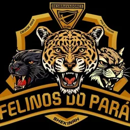 FELINOS DO PARÁ