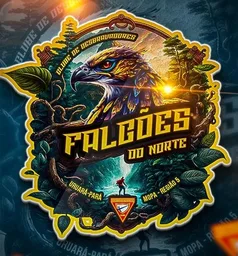 FALCÕES DO NORTE