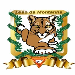 LEÃO DA MONTANHA