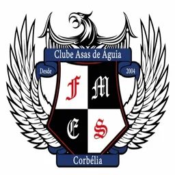 ASAS DE ÁGUIA