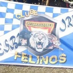 FELINOS